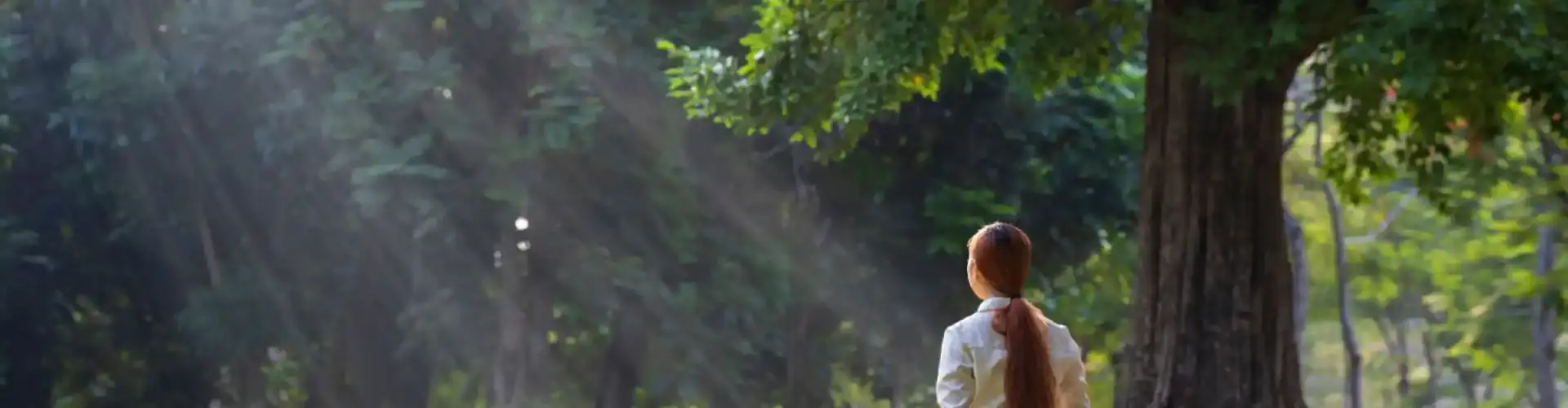 หลักสูตรอบรมเชิงปฏิบัติการเรื่องการแสดงตนอย่างมั่นคง